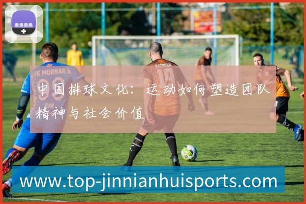 中国排球文化:运动如何塑造团队精神与社会价值